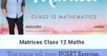 Online Course for Matrices Class 12 Maths