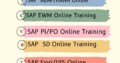 SAP UI5 ONLINE TRAINING BEST TRAINING