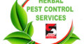 Sadguru Pest Control Treatment in Mumbai