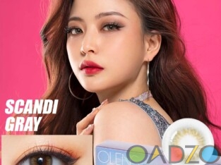 Scandi Grey 1Day Colored Contact Lenses