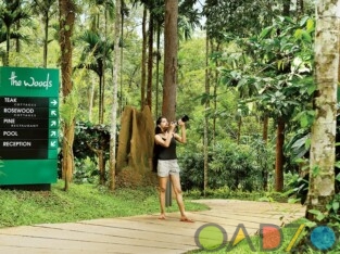 Jungle Resort in Wayanad – The Woods Resorts