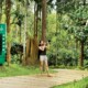 Jungle Resort in Wayanad – The Woods Resorts