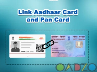 Get Link Aadhaar Pan Card API Service At Affordabl