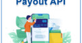 Best Payout API Provider Company