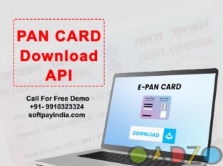 Get Pan Card Download API at Affordable Price