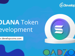 Solana Token Development Company – Developcoins