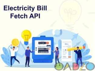 Best electricity Bill Fetch API Service
