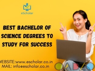 Best Bachelor of Science Degrees to Study for Succ