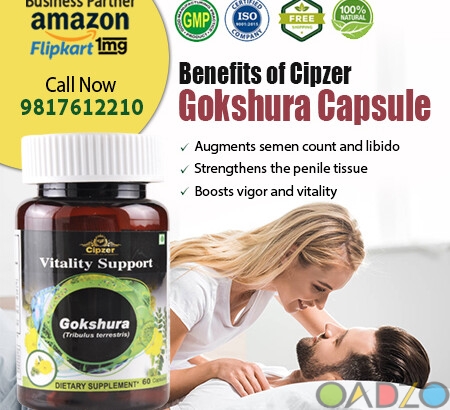 Gokshura Capsule helps improve men ‘ s health . It st