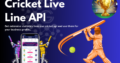 Cricket Live Line API Development Company
