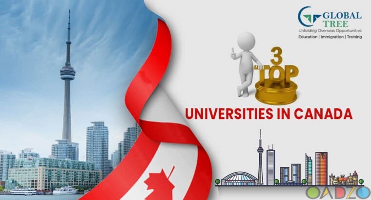 The Top 3 universities in Canada