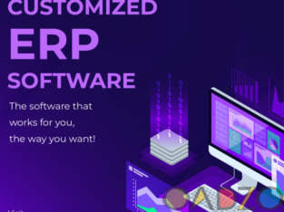 Leading Customized ERP Software Developers