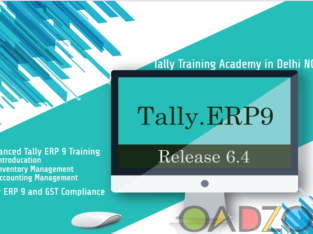 Tally Training in Delhi , ERP & Prime , SLA