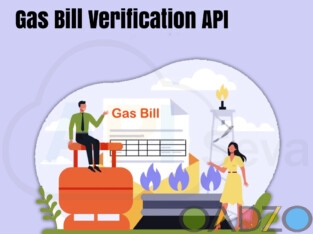 Get online gas bill verification API at best price