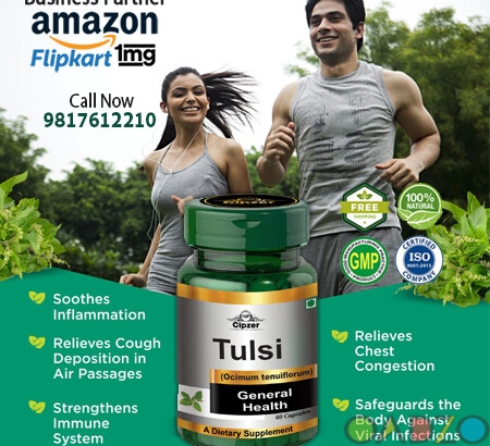Tulsi capsule can treat the common cold , help soot