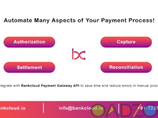 Payment Gateway API Integration
