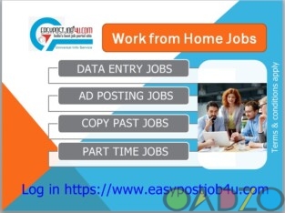 Earn from your home by doing data entry Job .