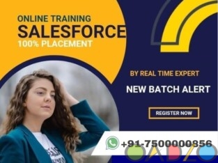 salesforce certification salesforce online trainin
