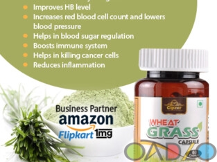 Wheat grass capsule is a storehouse of vitamins &