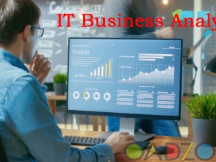 IT Business Analyst Online Training Classes India