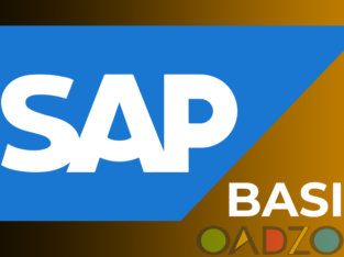 SAP BASIS Training from India , Hyderabad