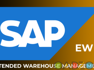SAP EWM Interview Questions and Answers