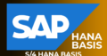 SAP S4 Hana Basis Online Training India