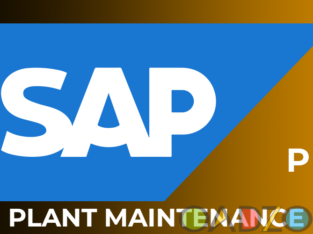 Best SAP PM Online Course from Hyderabad