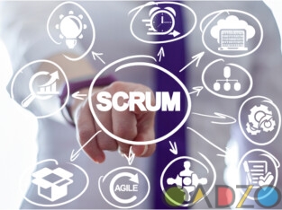 SCRUM Master / Agile Online Training In India
