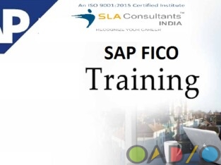 SAP FICO Institute in Delhi , Lajpat Nagar ,