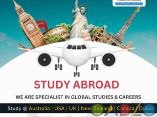 Overseas Education Services in Chennai