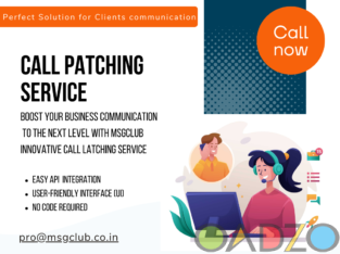 Streamline Your Business Communication with Call L