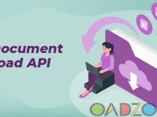 Online MCA All Document download API Provider