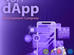 No . 1 dApp Development Company