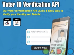 API Seva Provide Voter card data validation API