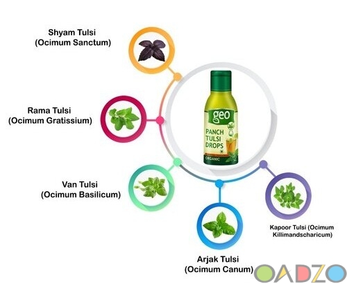 GEO Natural Panch Tulsi : Concentrated Extract Drop