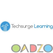 Techsurge Logo2