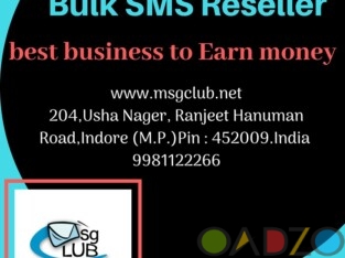 Bulk SMS Reseller Business is setting