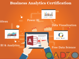 Business Analyst Course in Delhi , 110003 by Big 4 ,