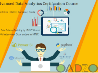 Data Analyst Training Course in Delhi . 110057 . Best