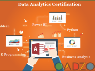 Data Analytics Course in Delhi , 110056 . Best Online
